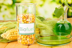 Dyce biofuel availability